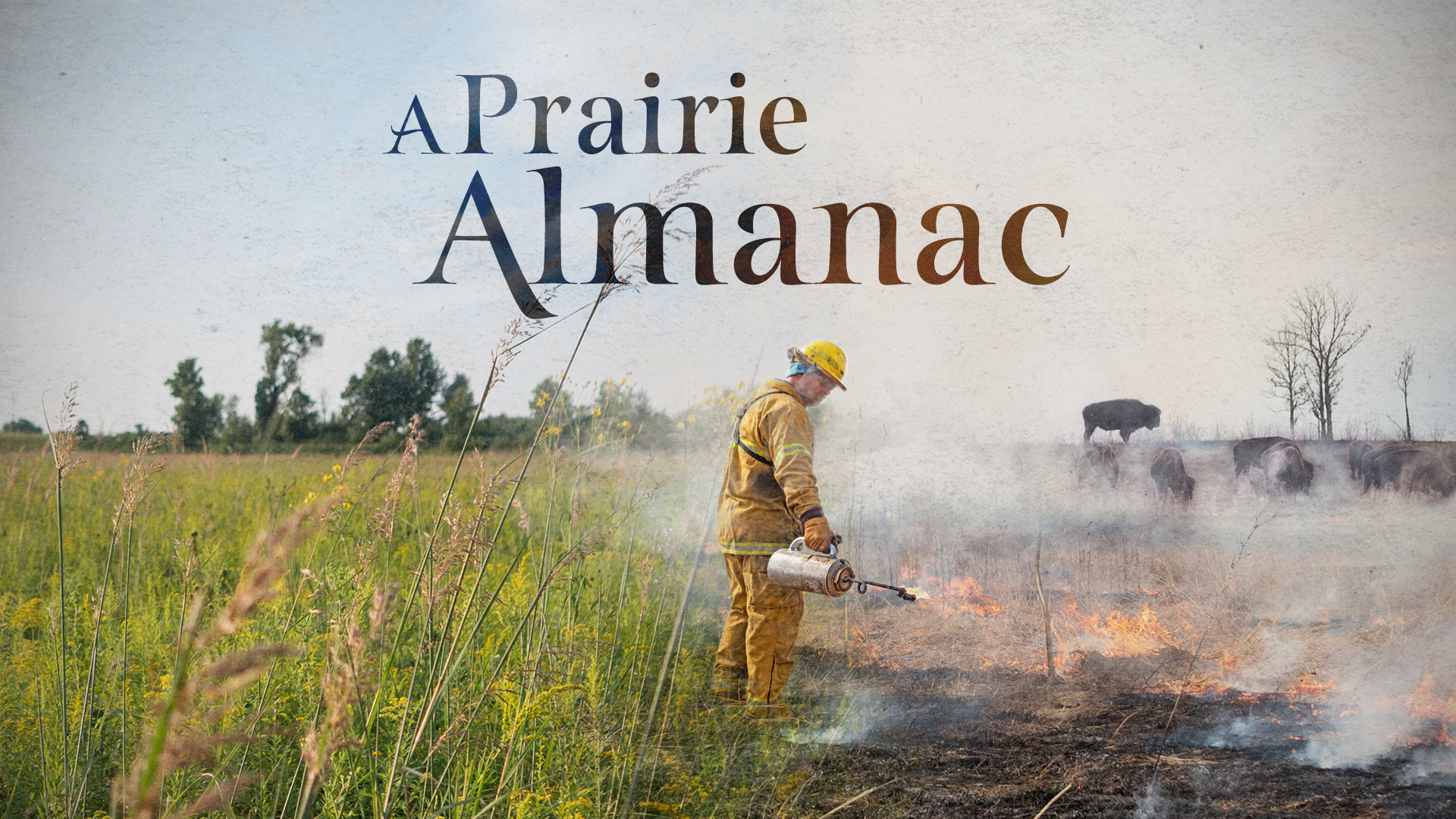 A Prairie Almanac Poster_16x9